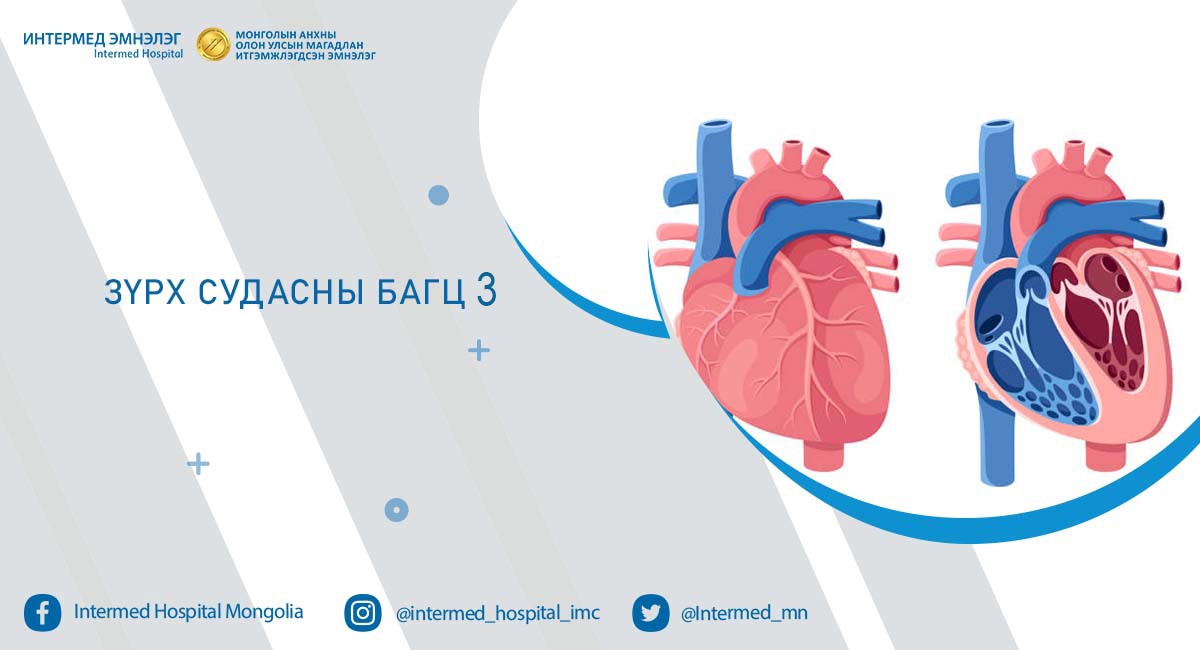Зүрх судасны багц-3