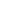 kidney4