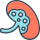 medical